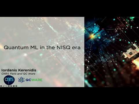Quantum Machine Learning in the NISQ Era