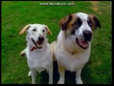 About The Baby Einstein Company Promo