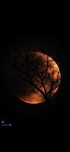 Moon photography tutorial #photography #moon #moonlight #night #nightphotography #sky #galaxy #star