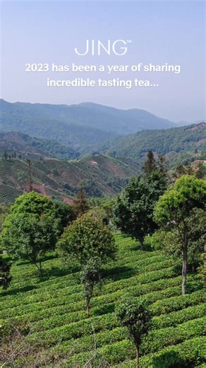 As 2023 comes to a close we are reflecting on a year of sharing incredible tasting teas. 🌱 Thank you for supporting us in our mission to source these amazing teas and to support in creating a thriving tea culture, master craftsmanship, and natural environment who create them 🌱 #tea #singlegarden #looseleaftea #craftsmanship #origin #support #yearwrapped #myjing #tealover #2023