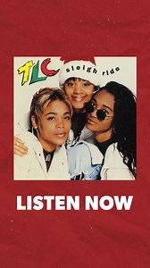 Who's riding your sleigh for Christmas? 👀 | TLC