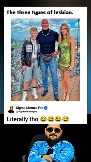 Internet Be Like: “Categories on Another Level” 😭😂