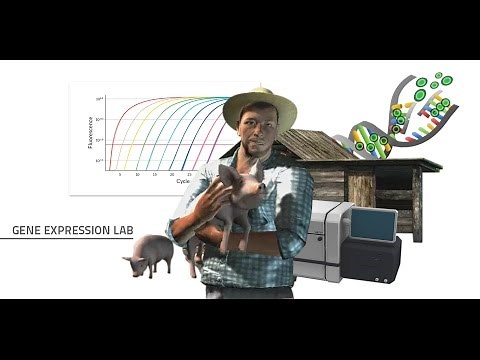 Labster Virtual Lab: Gene Expression Simulation