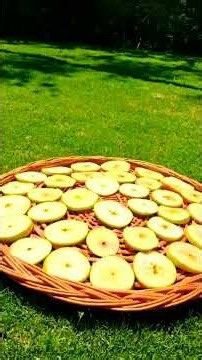 Kashmiri Sun Dried Apple Chips 🍎 | Traditional Apple Preservation #Shorts