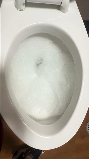 1980s American standard comfort height flushometer cadet￼