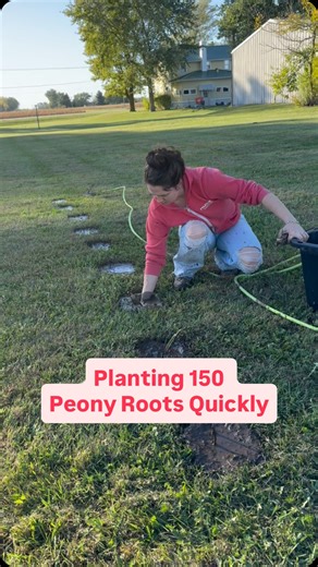 Emily Bult • Green Eyed Lady Farm • Lavender Farm on Instagram: "This trick saved us so much time!!!"