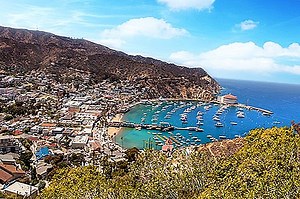 ★ Oplev en Legendary Island Getaway on Cabbage Key i Florida ★  - Amerikas Forenede Stater