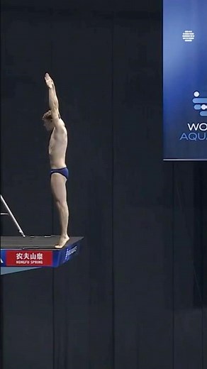 Noah Williams' Stunning 10m Platform Dive at World Aquatics 2024