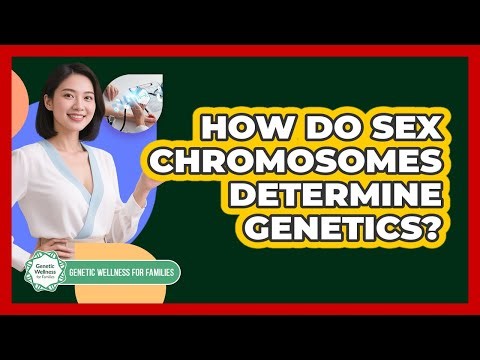 How Do Sex Chromosomes Determine Genetics? - Genetic Wellness for Families