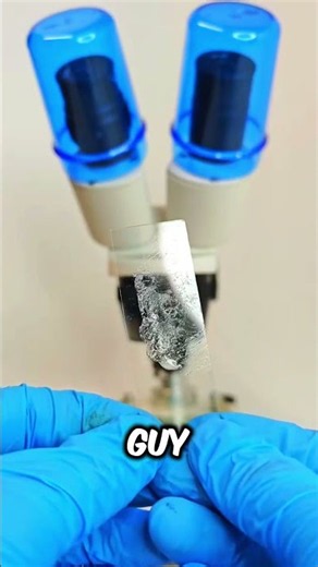 What Dog Saliva Looks Like Under a Microscope Will Shock You! 🐶🔬