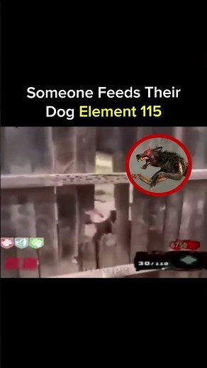 Whose Dog Is This? 😭