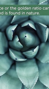 Art x Math = Creativity Multiplied 🎨 📐 Artists and mathematicians use their own unique languages to understand the world around them. This series of videos combines the languages of art and math to explore the beauty and order of math in art through geometry, pattern, symmetry, and more. Where will the intersection of art and math take you today? | Montclair Art Museum