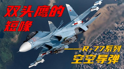 【空天史话】双头鹰的短喙——R-77系列空空导弹【第37期】