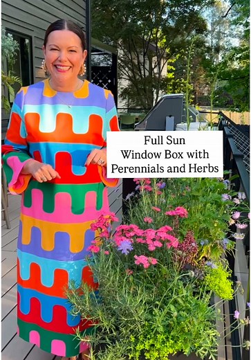 Herb and Perennial Window Box for Full Sun