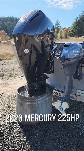 2020 Mercury 225hp V6 Mike Assinks Guide Service Umpqua Marine and Boats, LLC Outboard Madness #outboardmadness | Outboard Madness