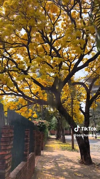 Explorando la Ciudad de Asunción en Paraguay
