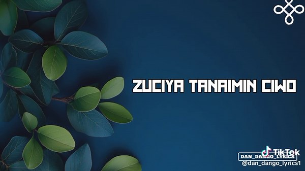 Dan dango lyrics✍️✍️ on TikTok