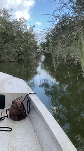 Beautiful Egrets!!! Swamp Life!!! | Ronnie Adams from Swamp People
