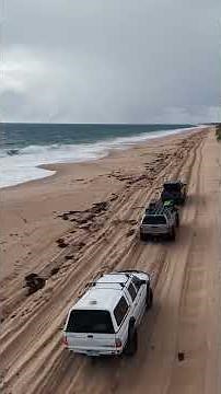 WA KE BEACH'S PAR 4WD | Preston Beach #youtubeshorts #shortvideo #beach #desi #offroad #nature #1m