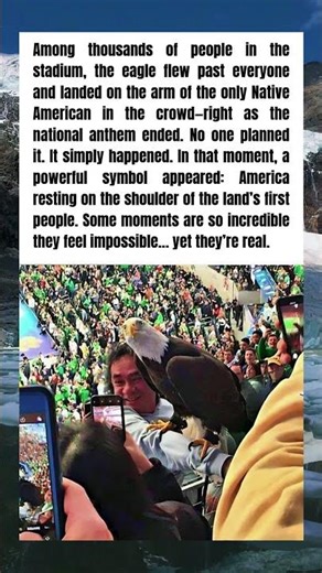 🇺🇸 Eagle Chooses the Only Native American in the Stadium During the National Anthem