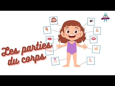 APPREND LE CORPS HUMAIN #1 - [Les parties du corps]