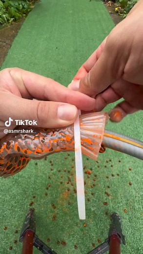 #asmrsounds #asmrvideo #foryou #ASMR