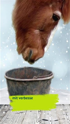 Winter-Mash