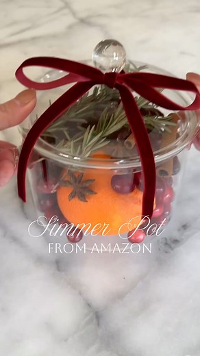 A thoughtful, budget-friendly DIY that feels luxe: the holiday simmer pot 🎁 It’s warm, fragrant, and so easy to put together. The perfect gift for any host this season. #affiliatelink #amazonfinds #XmasGifts | Stefana Silber Blog