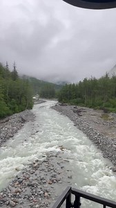 1.3K views · 45 reactions | Skagway Train Ride was absolutely beautiful! The video doesn’t do this place justice!! #cruising #skagway #alaska #alskancruise #RoyalCaribbean #radianceoftheseas | Millers Mart Seafood And Deli | Facebook