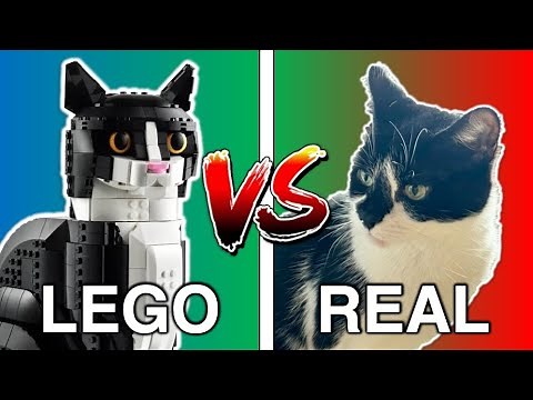 LEGO Cat vs REAL Cat (Comparison) 🐱