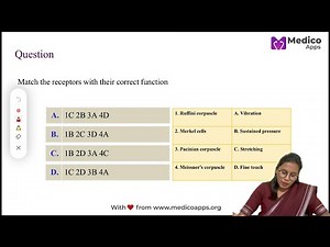 Cutaneous Receptors - Complete Guide | Mechanoreceptors | NEET PG Physiology | Dr. Suvarna Anil