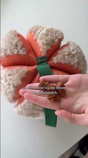 The perfect sniffing toy for dogs? 🤩🐕