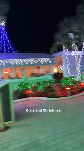 Holiday lights in palm trees Sooooo on island! | On Island
