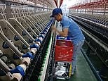 Vietnamese factory employees work at an incredibly fast pace