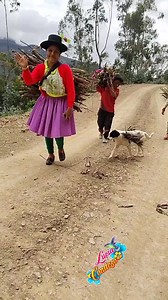 Leña Lucia Condezo | Lucia condezo