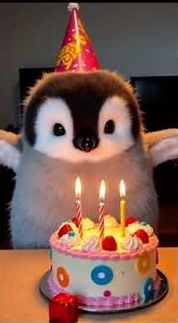 Happy birthday pingu❤️ #pinguin #cute #penguin #penguen #animals #funny #penguine #pets #adorably