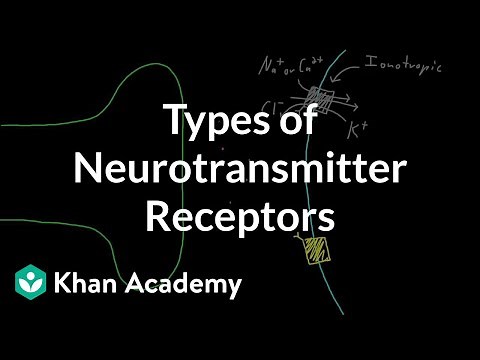Types of neurotransmitter receptors | Nervous system physiology | NCLEX-RN | Khan Academy