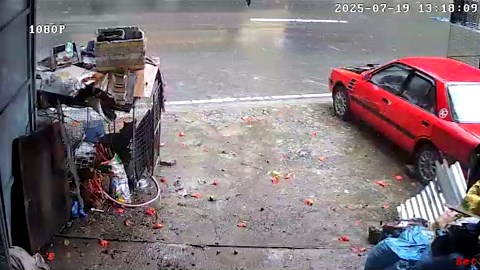 Pet dog miraculously survives after 30-ton boulder crashes onto family driveway