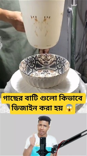 I Made A Bowl From A Tree