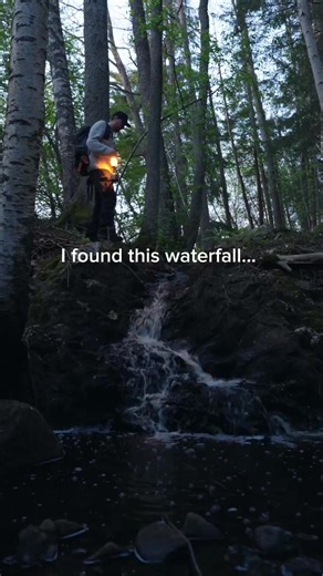 From waterfall to fairy-like kingdom, watch as nature photographer Olle Nilsson Wildlife Photography illuminates the magic of the forest with a little help from Xperia 1 VII. 🏞️ Inspired by the simple creative techniques of creators, share your photo or movie with the hashtag #WowXperia on Instagram. For your image to be eligible for reposting, you must ensure the following: ✓You tag #WowXperia, the name of your country or region (e.g. #Sweden), and the name of your Xperia device (e.g. #Xperia1