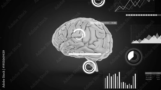 Rotating 3D brain showing gyri, sulci and brainstem in dark gradient backdrop, with HUD overlays