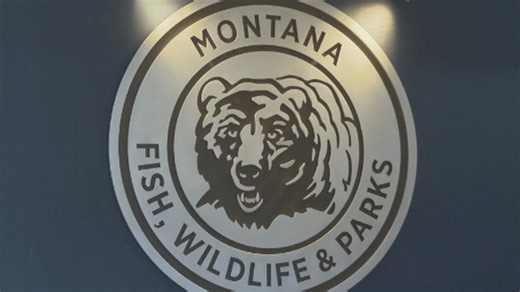 Hunters and anglers can now purchase new licenses through FWP