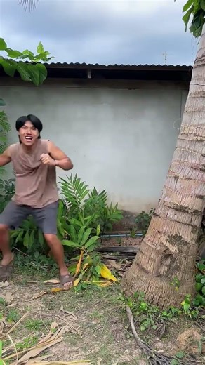 Jump vs Tree = Vanish Magic Fail😁😀😁