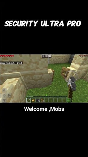 Welcome to my home, Mobs 💀☠️ #minecraft