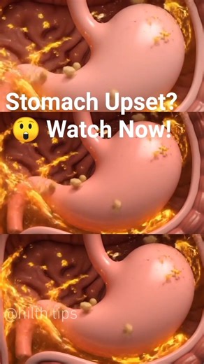 #antibloat #bloat #goodgut Why Is Your Stomach Always Upset? | 60-Second Stomach Tips 😲