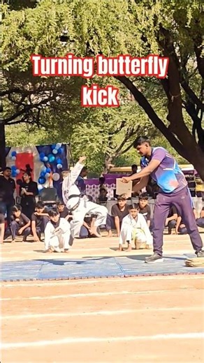 Breaking Boards with a Butterfly Kick