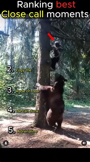Ranking the best close call moments #youtubeshorts #youtubegrowth #closecall
