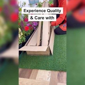 489K views · 5K reactions | Ready to elevate your space? 樂 Introducing our exclusive rare plant collection! ✨ Bring a touch of luxury and vibrancy into your home. Get ready to turn heads with your stunning corner. Shop now and start growing your dream garden today!  | Exotic Flora | Facebook