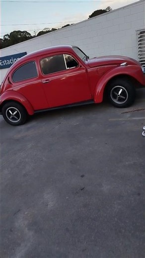 Should I go with a Fiat Uno or a Beetle?