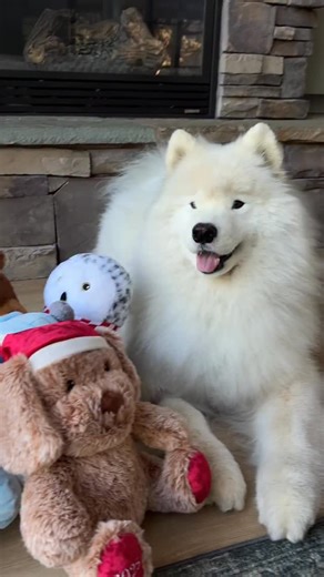 PetSmart on Instagram: "In honor of Giving Tuesday, @life.with.a.landcloud is excited to remind you that every purchase of a Chance and Friends plush toy helps support @petsmartcharities mission: finding loving homes for pets in need and keeping pets with the families who love them. From now through 12/25/2025, PetSmart will donate 10% of every toy purchase to PetSmart Charities, so your gift can make an even bigger difference! #PetSmart #PetSmartCharities #GivingTuesday #AnythingForPets"